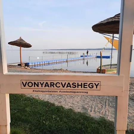 Πανσιόν Balassa Csaladi Vonyarcvashegy