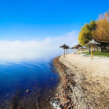Balassa Csaladi Vonyarcvashegy