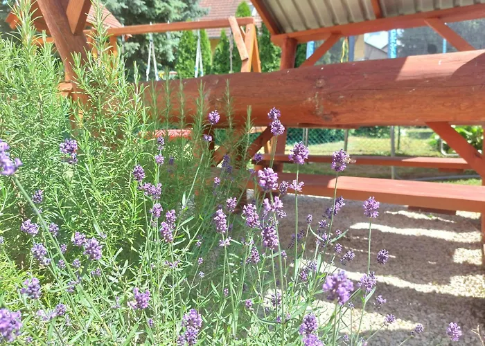 בית הארחה Balassa Csaladi 3*